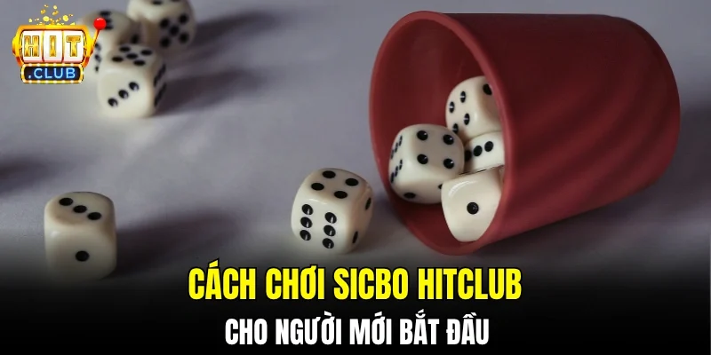 Cách chơi Sicbo Hitclub cho người mới bắt đầu